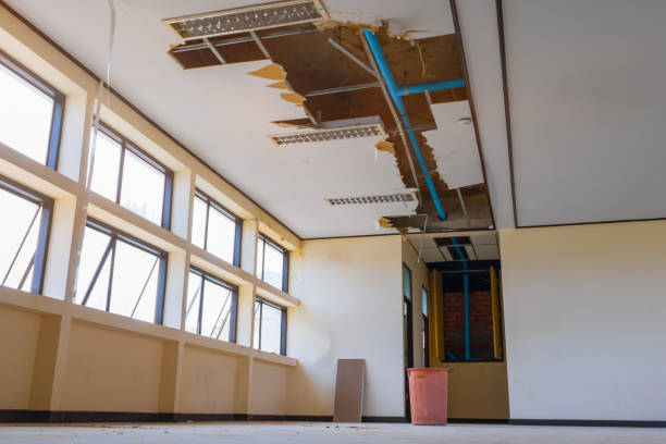 Best Professional water damage repair  in Avonia, PA