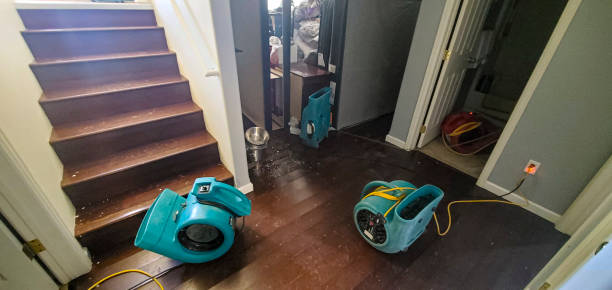 Best Fire Damage Restoration  in Avonia, PA