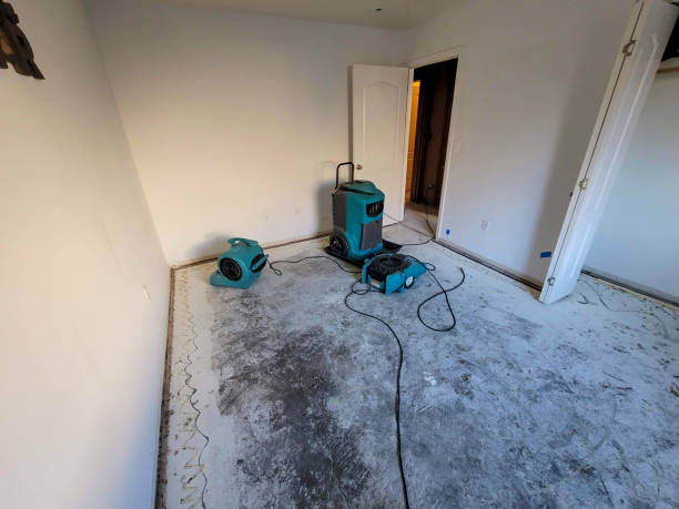Best Emergency water damage restoration  in Avonia, PA