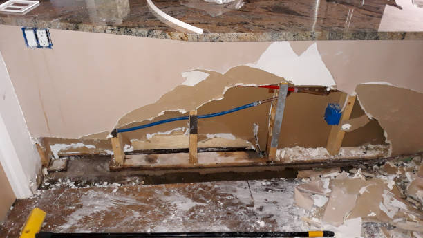 Best Basement water damage restoration  in Avonia, PA