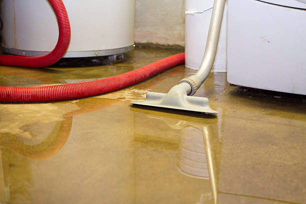 Best Carpet water damage restoration  in Avonia, PA