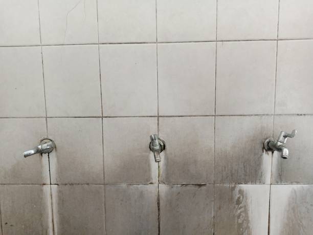 Best Water damage restoration near me  in Avonia, PA