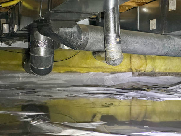 Best Water damage restoration services  in Avonia, PA