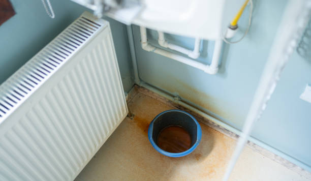 Best Ceiling water damage repair  in Avonia, PA