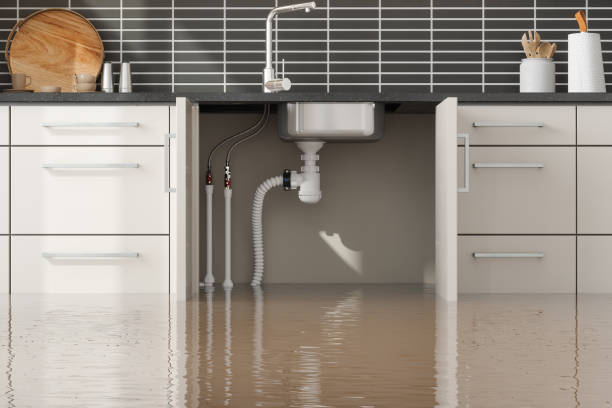 Best Local water damage restoration  in Avonia, PA