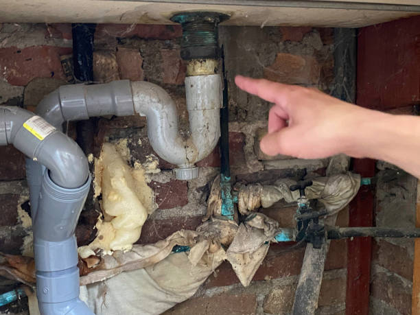Best 24-hour water damage restoration  in Avonia, PA