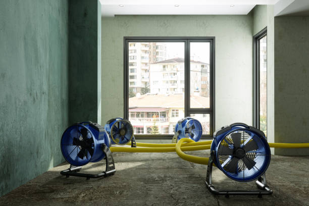 Best 24/7 water damage repair  in Avonia, PA